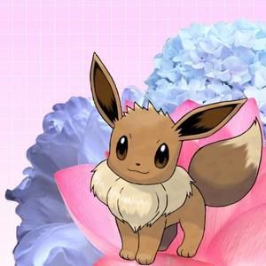 Meet your Posher, Christy